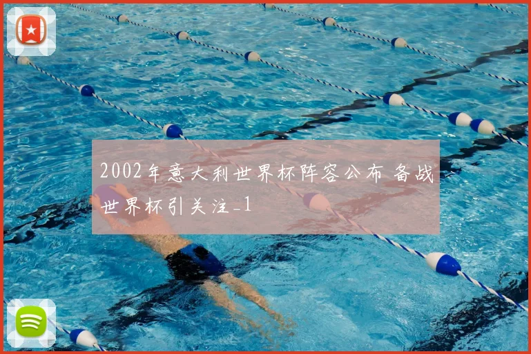 2002年意大利世界杯阵容公布 备战世界杯引关注_1