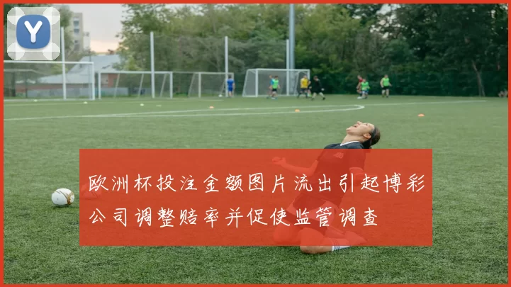 欧洲杯投注金额图片流出引起博彩公司调整赔率并促使监管调查