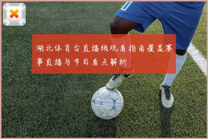 湖北体育台直播线观看指南覆盖赛事直播与节目看点解析