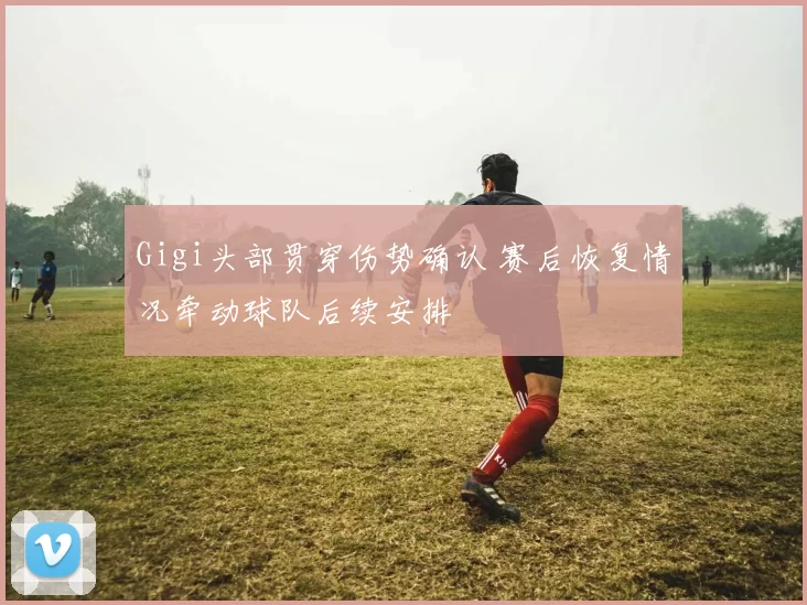 Gigi头部贯穿伤势确认 赛后恢复情况牵动球队后续安排