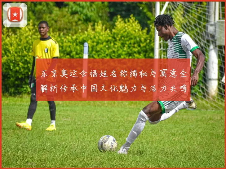 东京奥运会福娃名称揭秘与寓意全解析传承中国文化魅力与活力共鸣
