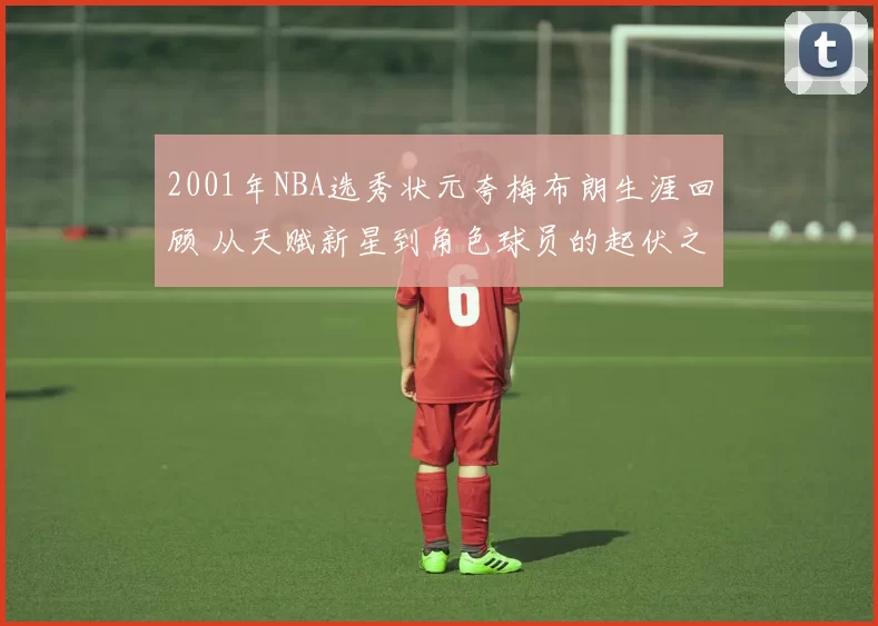 2001年NBA选秀状元夸梅布朗生涯回顾 从天赋新星到角色球员的起伏之路