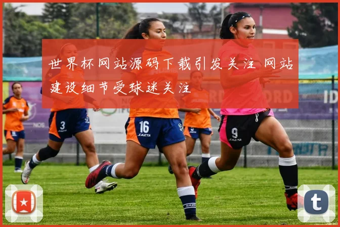 世界杯网站源码下载引发关注 网站建设细节受球迷关注