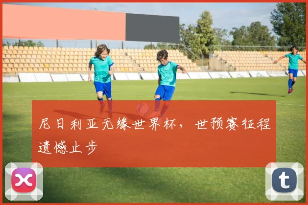 尼日利亚无缘世界杯，世预赛征程遗憾止步