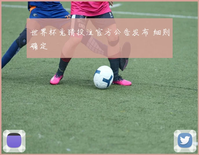 世界杯竞猜投注官方公告发布 细则确定